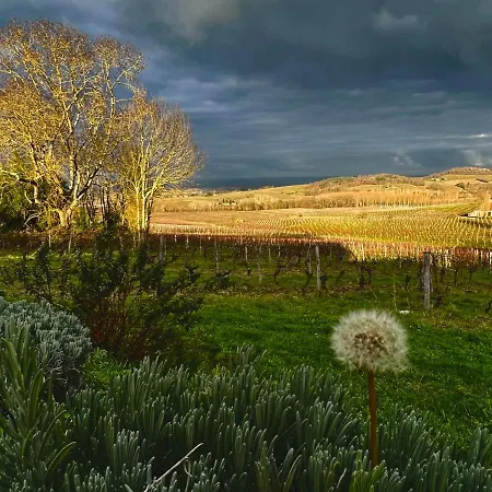 Les Vignes Vakantiehuis Pomport