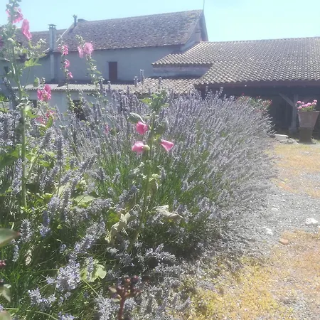 Vakantiehuis Les Vignes