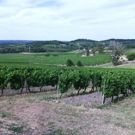 Les Vignes *