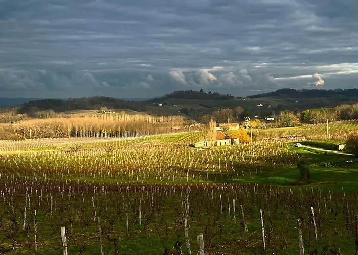 Les Vignes * Pomport