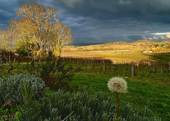 Les Vignes Сasa de vacaciones Pomport