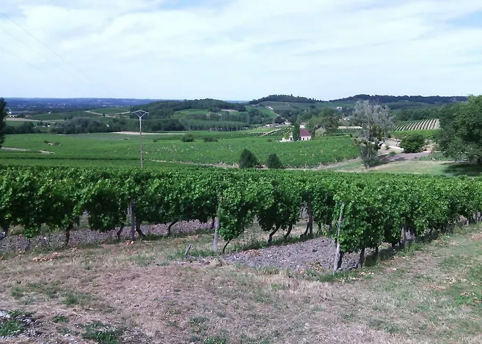 Les Vignes *